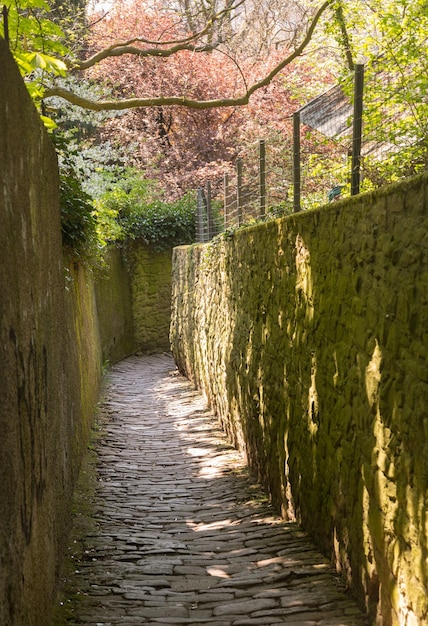 Foto percorso sopra la città vecchia di heidelberg germania