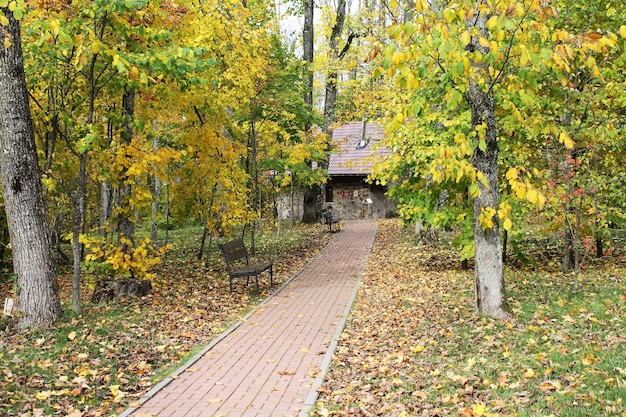 The path of the park is immersed in the beautiful colors of the autumn park