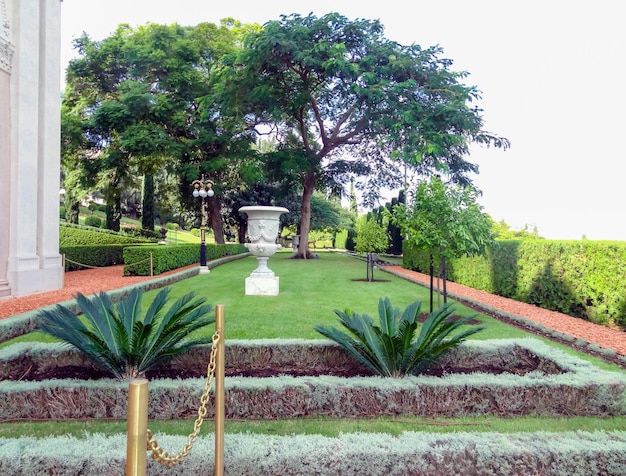 Path in the park with flowers and palm trees on a sunny summer day