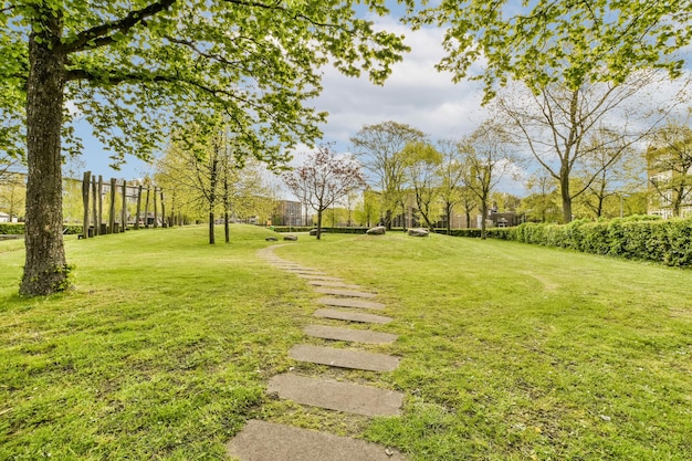 A path in a park with trees and grass