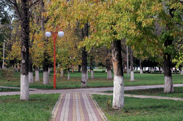 A path in a park with trees and a lamp post