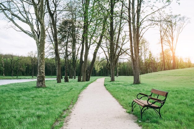 Photo path in the park