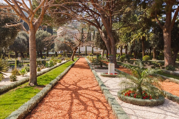 The path among the plants of the Bahai Gardens