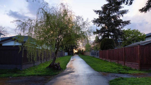 Path in the Residential Neighborhood during a colorful spring season