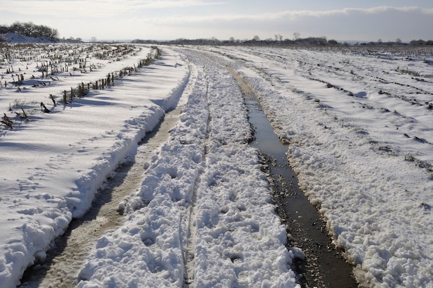 Path under the snow in Brittany