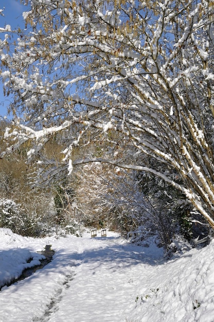Sentiero sotto la neve in bretagna