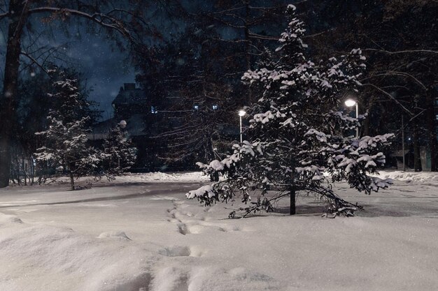 The path in the snow to the house