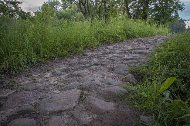 A path of stones in the park