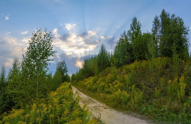 The path stretches up to the sky Leningrad region Vsevolozhsk