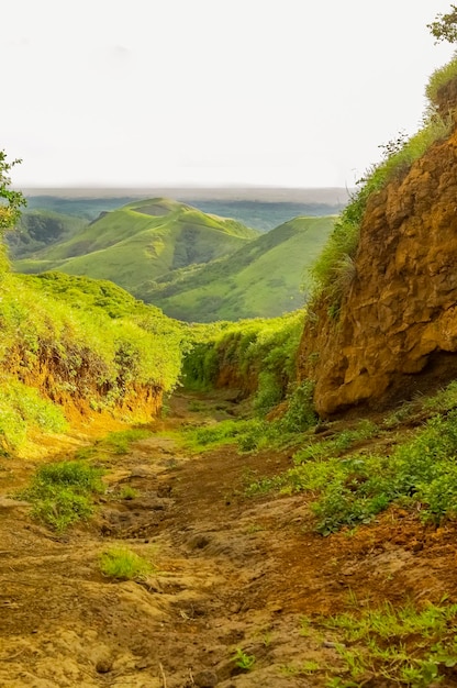 A path surrounded by vegetation with a hill in the background A path that leads to a hill