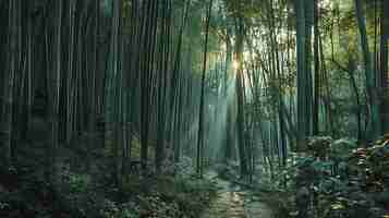 Photo the path through the bamboo forest is a peaceful and serene place the sun shines through the trees creating a dappled pattern on the ground