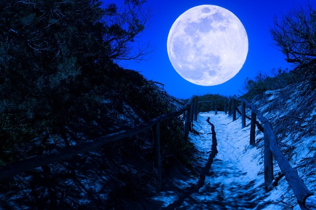 Path through the beach at night