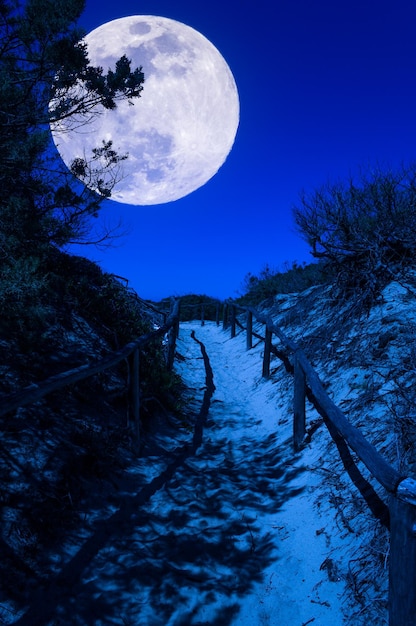 Foto percorso attraverso la spiaggia di notte