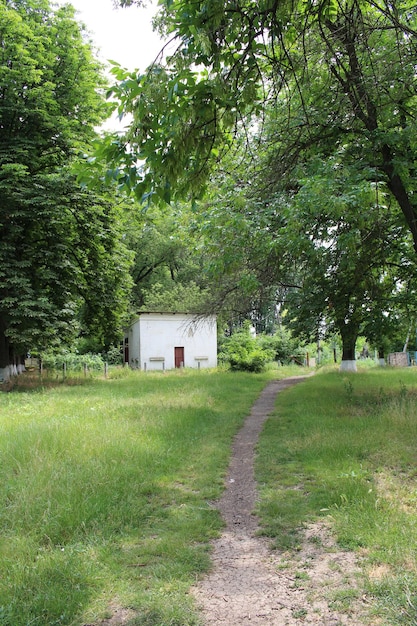 A path through a grassy area with a small white building