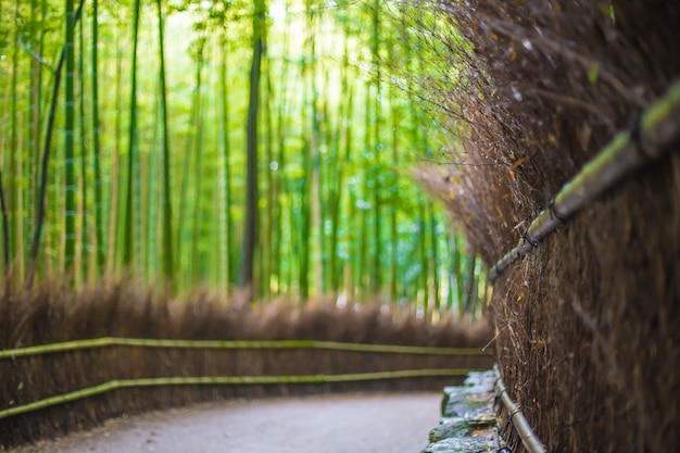 写真 嵐山への道、嵐山、京都、日本は背景をぼかします。