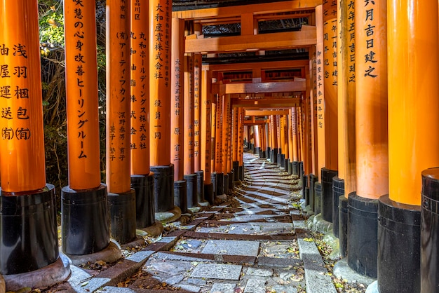 Foto sentiero sotto il torii nel tempio di fushimi inari a kyoto