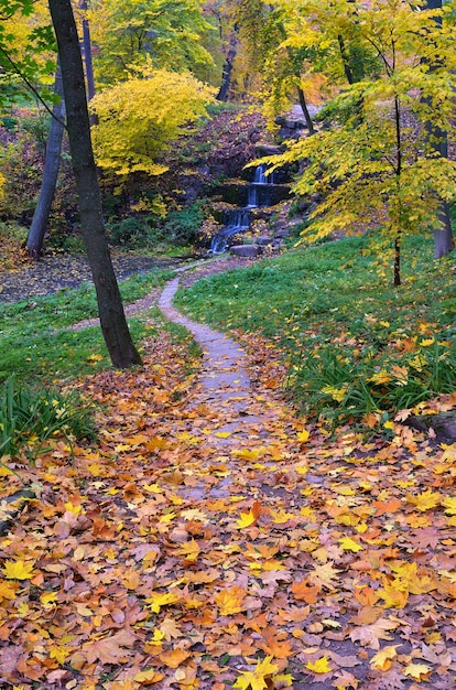 Path to the waterfall. Golden autumn in the park