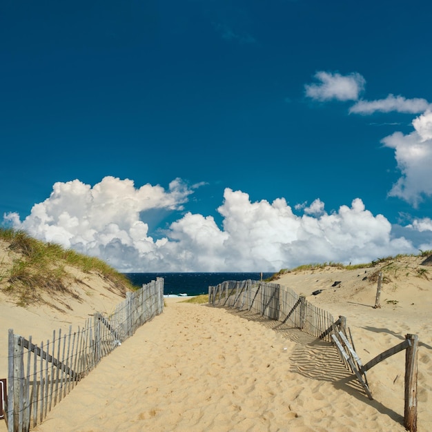 Path way to the beach at cape cod