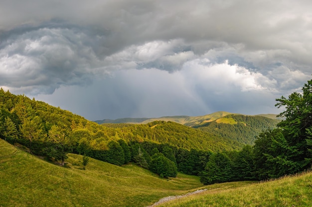 A path winds along a grassy slope in the Carpathian Mountains, Ukraine