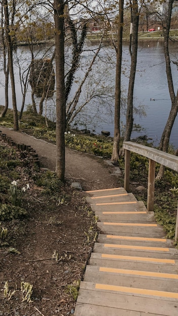 Path with Stairs By a Lake