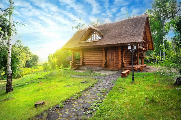 Photo path and wooden house in a birch grove on summer day