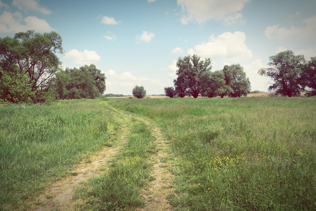 Foto un sentiero in mezzo a un campo erboso contro il cielo