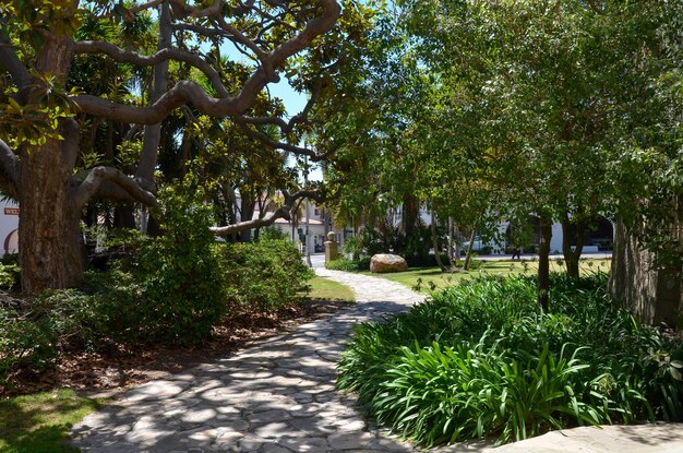 Photo pathway amidst trees