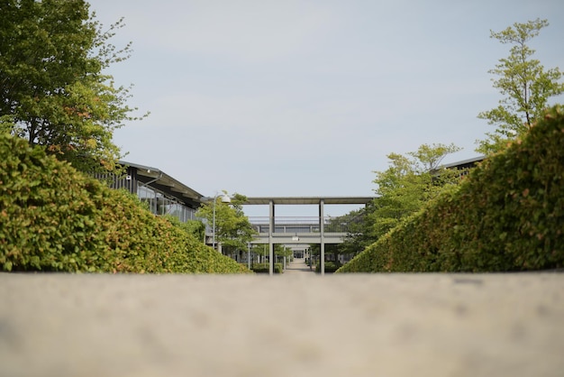 A pathway to apartment building complex on a sunny day