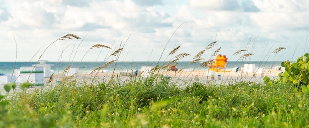 Pathway to the beach in Miami Florida with ocean background