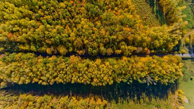 Pathway in the bright autumn forest Top view