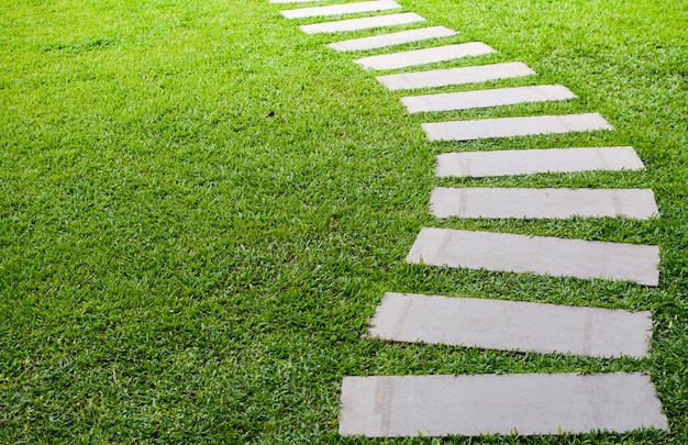 Photo pathway in the garden