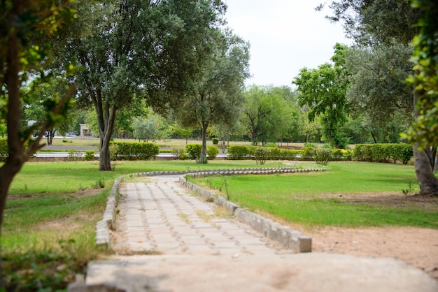 A pathway leads through the park from a rest area on the motorway from Lahore to Islamabad