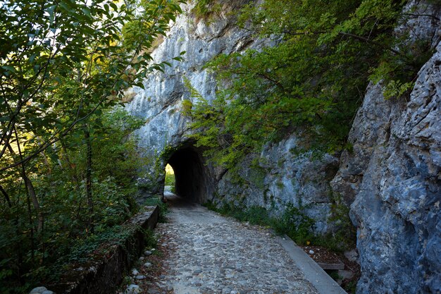 The pathway of the Mount Cumieli ring, Friuli Venezia Giulia