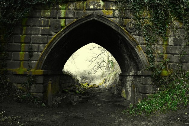 Photo pathway below old bridge