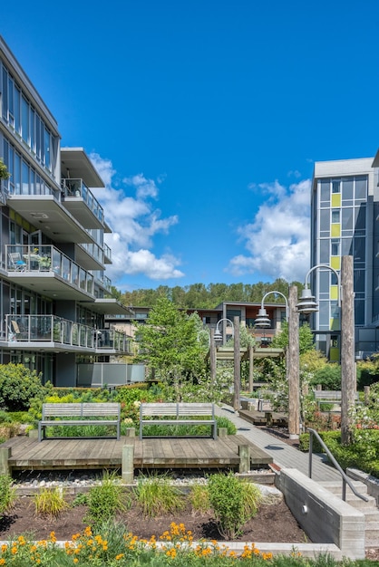 Pathway in residential park between the buildings