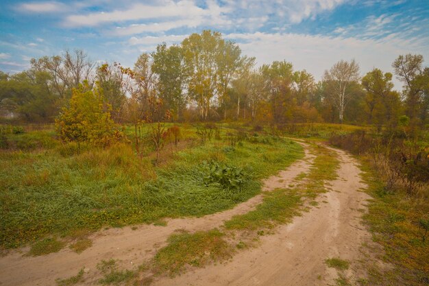 Pathway through the autumn forest