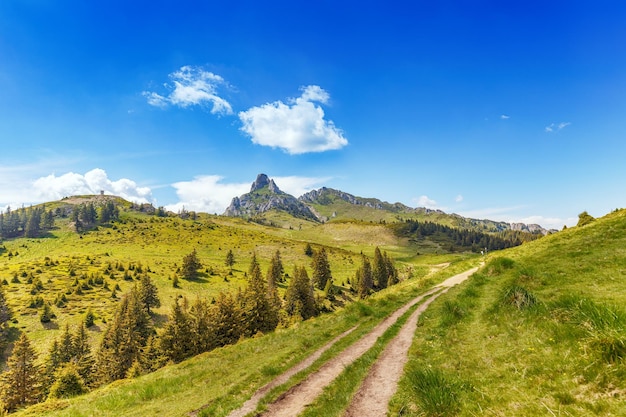 Pathway through the Ciucas mountain