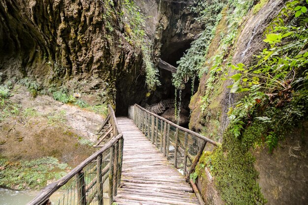 Pathway Wooden Footbridge