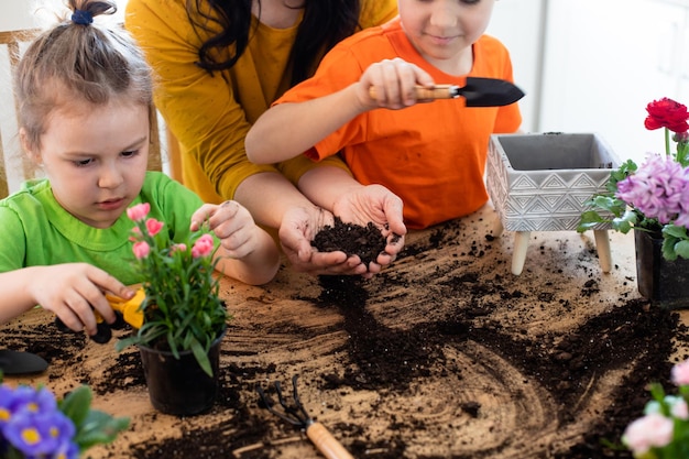 Patience is important feature while teaching kids at home