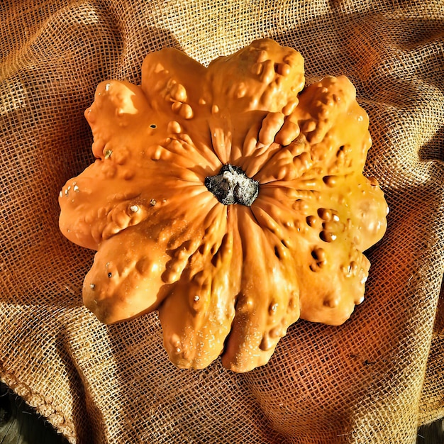 Photo patisson pumpkin, pumpkin (cucurbita), wooden substrate, old chopping knife, burlap, studio