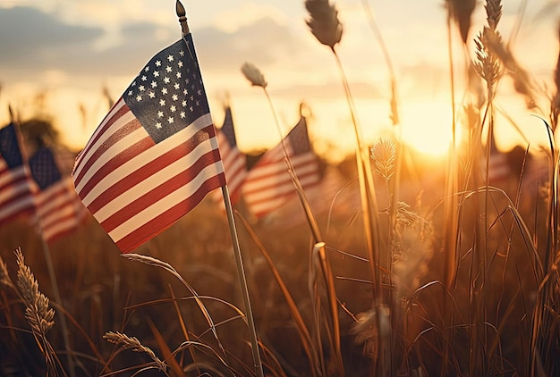 patriotic american flags in the field at sunset in the style of analog photography