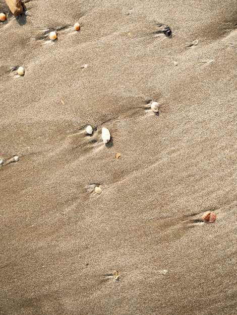 Patronen Textuur van zand op het strand