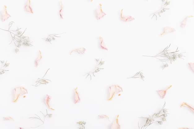 Patroon met tedere droge roze rozenblaadjes en alsem takjes op een witte achtergrond. Licht romantische compositie. Platliggend, bovenaanzicht