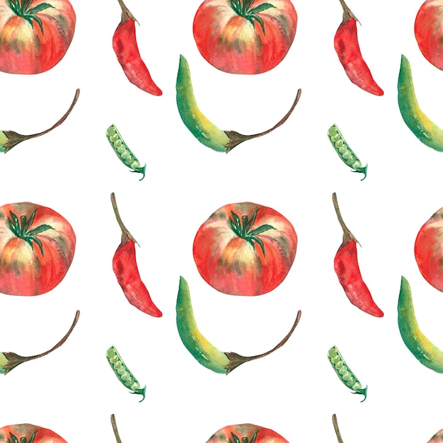 Patroon tomaat en paprika door een waterverf Op geïsoleerde witte achtergrond Illustratie handgetekende