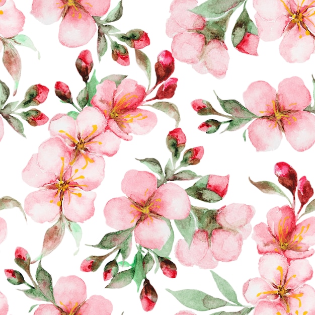 Patroon van aquarel sakura bloemen