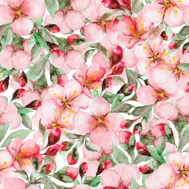 Patroon van aquarel sakura bloemen