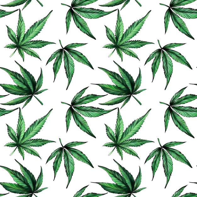 Patroon van groene cannabisbladeren op een witte achtergrond Groene hennepbladeren