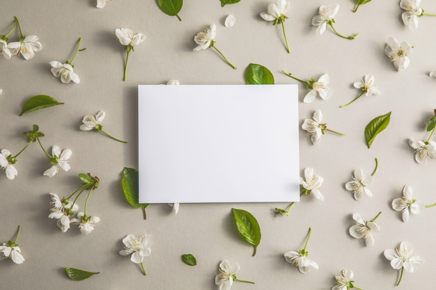 Patroon van kersen en witte bloemen Wenskaartsjabloon Gelukkig dames dag lente Pasen concept