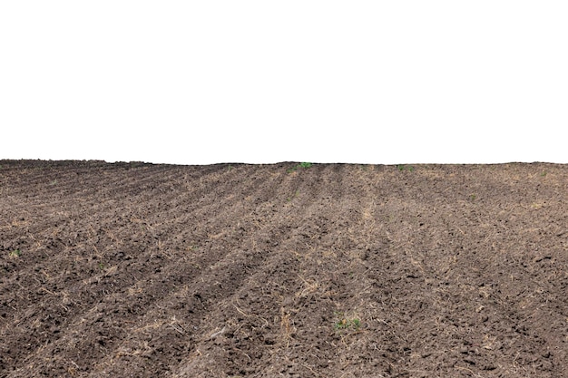 Patroon van rijen in een geploegd veld op een afgelegen witte achtergrond