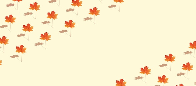 写真 コピースペースとバナー形式で白い背景にオレンジ-赤のパターン秋のカエデの葉